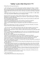 Nghiệp vụ giao nhận hàng hoá ở VN pdf