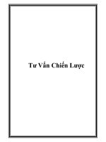 Tư Vấn Chiến Lược pot