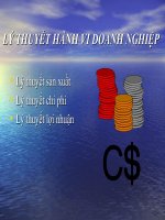 Lý thuyết hành vi doanh nghiệp potx