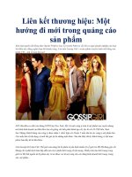 Liên kết thương hiệu: Một hướng đi mới trong quảng cáo sản phẩm docx