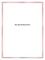 Bảo mật Mozilla Firefox. potx