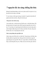7 nguyên tắc ăn sáng chống lão hóa pdf