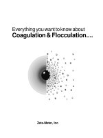 Everything you want to know about Coagulation & Flocculation.... doc