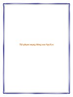 Tội phạm mạng đứng sau SpyEye docx