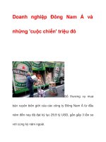 Doanh nghiệp Đông Nam Á và những ''''cuộc chiến'''' triệu đô doc