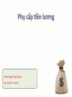 tiền lương tiền công pdf