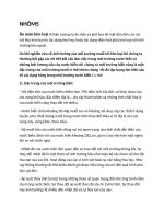 n mòn kim loại là hiện tượng tự ăn mòn và phá huỷ bề mặt dần dần của các vật liệu kim loại do tác dụng hoá học hoặc tác dụng điện hoá giữa kim loại với môi trường bên ngoài doc