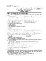 Đề thi Kiểm toán căn Bản-Đề số 8 ppt