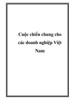 Cuộc chiến chung cho các doanh nghiệp Việt Nam pot
