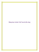 Hàng loạt website Việt Nam bị tấn công pptx