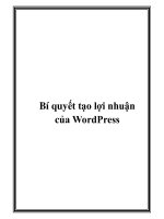 Bí quyết tạo lợi nhuận của WordPress pptx