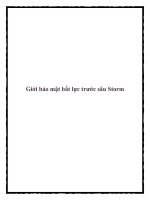 Giới bảo mật bất lực trước sâu Storm doc