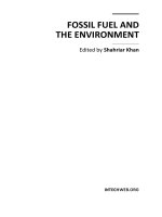 FOSSIL FUEL AND THE ENVIRONMENT pot