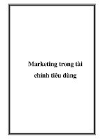Marketing trong tài chính tiêu dùng pdf