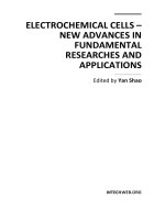 ELECTROCHEMICAL CELLS – NEW ADVANCES IN FUNDAMENTAL RESEARCHES AND APPLICATIONS potx