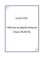LUẬN VĂN:Chiến lược mở rộng thị trường cho Công ty Pin Hà Nội potx