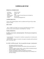 cv tran sy nam pdf