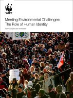 Meeting Environmental Challenges: The Role of Human Identity docx
