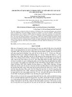 Báo cáo khoa học : ẢNH HƯỞNG SỬ DỤNG BỘT CÁ TRONG THỨC ĂN VIÊN ĐẾN SỨC SẢN XUẤT CỦA THỎ NUÔI THỊT pdf