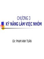 CHƯƠNG 3 KỸ NĂNG LÀM VIỆC NHÓM pptx