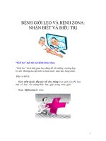 BỆNH GIỜI LEO VÀ BỆNH ZONA: NHẬN BIẾT VÀ ĐIỀU TRỊ doc