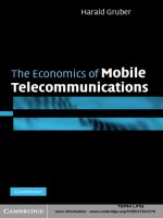 The Economics of Mobile Telecommunications (2005) pptx