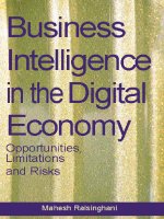 Business Intelligence in the Digital Economy Opportunities Limitations and Risks pptx