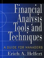 Financial Analysis - Tools & Techniques a Guide for Managers pot