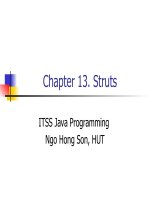 Java C13. Struts pptx