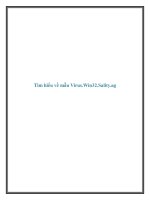 Tìm hiểu về mẫu Virus.Win32.Sality.ag ppt