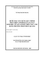 Đề Tài: Bước đầu xây dựng quy trình phát hiện ASPERGILLUS FLAVUS sinh độc tố AFLATOXIN trên ngũ cốc bằng phương pháp phát quang potx