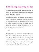 5 trái cây tăng năng lượng cho bạn ppt