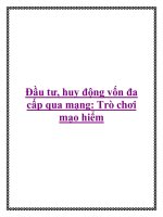 Đầu tư, huy động vốn đa cấp qua mạng: Trò chơi mạo hiểm. doc