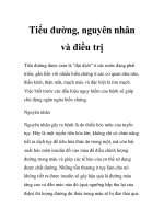 Tiểu đường, nguyên nhân và điều trị doc