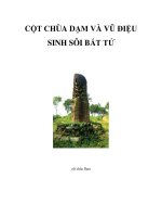 CỘT CHÙA DẠM VÀ VŨ ĐIỆU SINH SÔI BẤT TỬ pdf