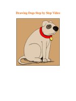 Drawing Dogs Step by Step Video pdf