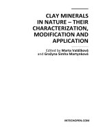 CLAY MINERALS IN NATURE – THEIR CHARACTERIZATION, MODIFICATION AND APPLICATION pdf