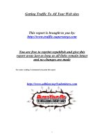 Getting Traffic To All Your Web sites pdf
