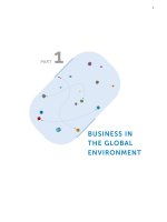 Business in the global environment ppt