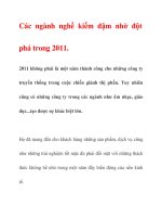 Các ngành nghề kiếm đậm nhờ đột phá trong 2011 pot