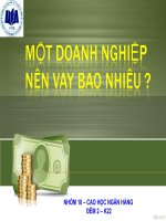 tiểu luận tài chính nghiệp một doanh nghiệp nên vay bao nhiêu 3