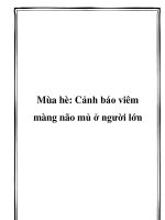 Mùa hè: Cảnh báo viêm màng não mủ ở người lớn docx