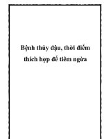 Bệnh thủy đậu, thời điểm thích hợp để tiêm ngừa pdf