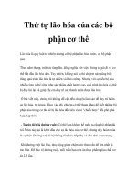 Thứ tự lão hóa của các bộ phận cơ thể pptx