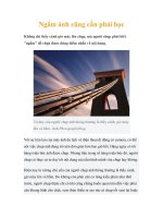 Ngắm ảnh cũng cần phải học ppt