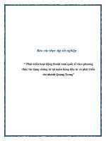 Báo cáo tốt nghiệp: “ Phát triển hoạt động thanh toán quốc tế theo phương thức tín dụng chứng từ tại ngân hàng đầu tư và phát triển chi nhánh Quang Trung” pot