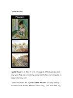 Camille Pissarro doc