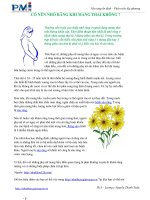 CÓ NÊN NHỔ RĂNG KHI MANG THAI KHÔNG ? potx