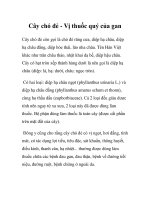 Cây chó đẻ - Vị thuốc quý của gan pptx