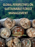 GLOBAL PERSPECTIVES ON SUSTAINABLE FOREST MANAGEMENT potx